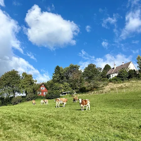 Almhaus 38 Casa vacanze